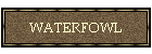 WATERFOWL