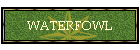 WATERFOWL